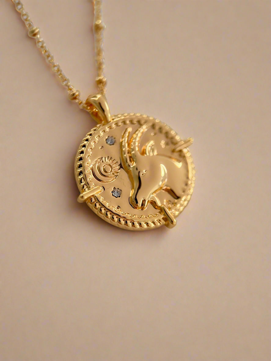 Capricorn Necklace-0