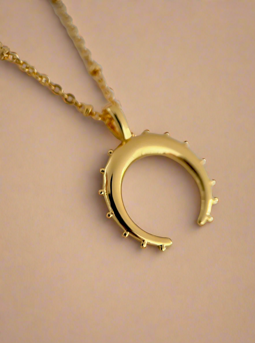 Crescent Moon Necklace-1