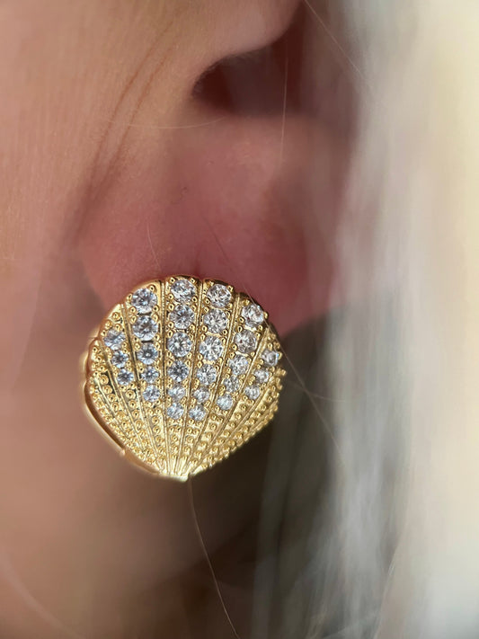 Shell Studs-0