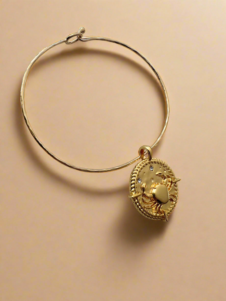 Zodiac Charm Bangle-2