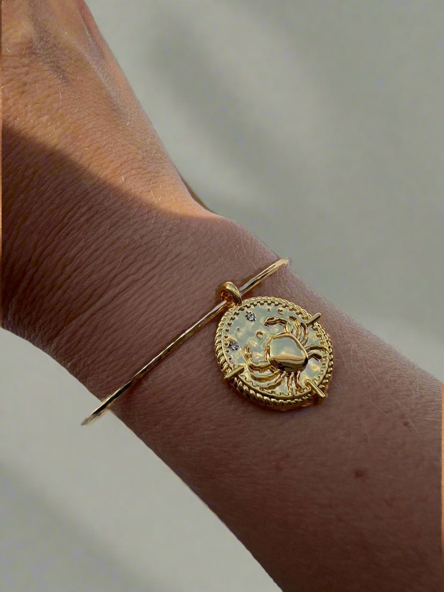 Zodiac Charm Bangle-1