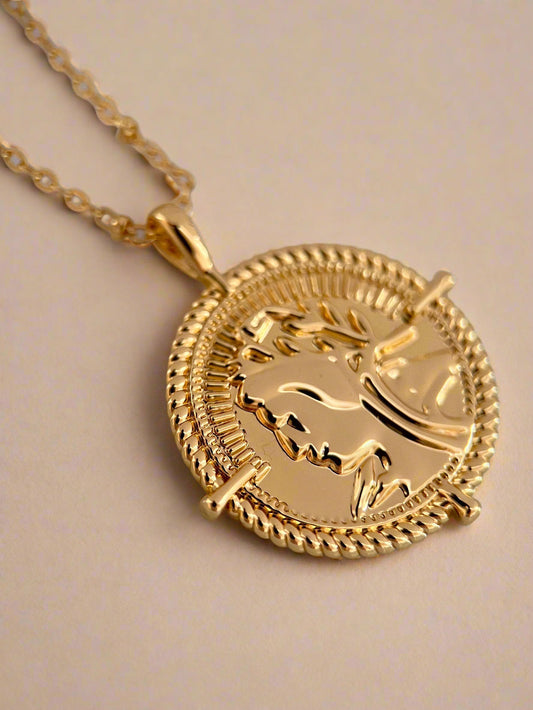 The Liora Coin Necklace-0